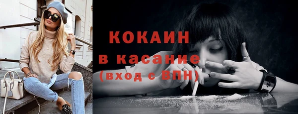 крисы Надым