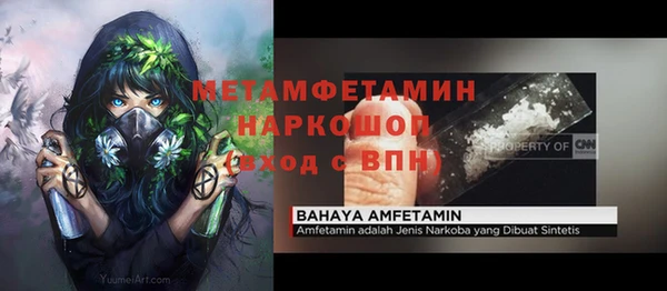 крисы Надым