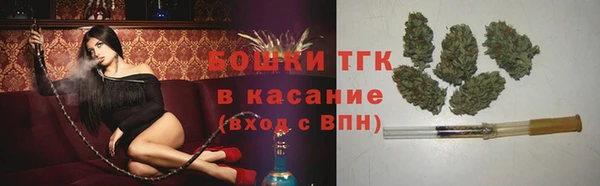крисы Надым