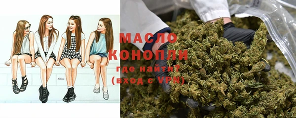 крисы Надым