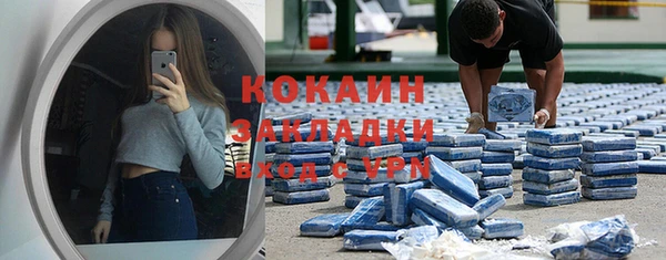 крисы Надым