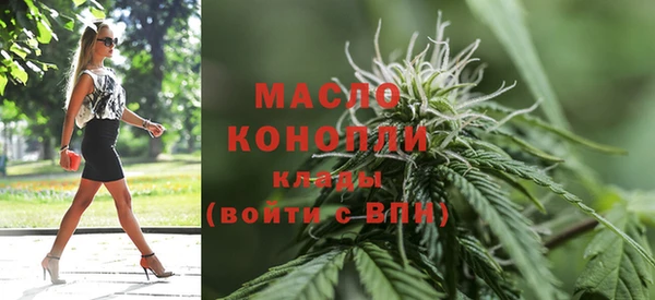 крисы Надым
