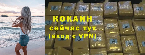крисы Надым