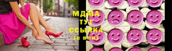 крисы Надым